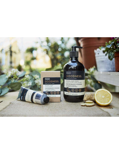 Baylis & Harding Pěna do Koupele - Citronová tráva a zázvor, 500ml