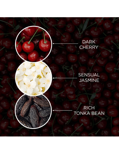 The Edit - Cherry Temptation