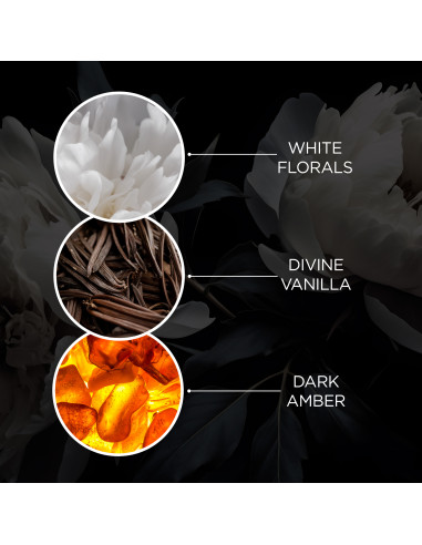 The Edit - Twilight Amber