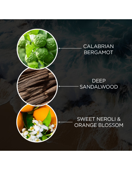 The Edit - Neroli Sands