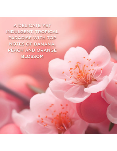 Tropical Paradise - sada toaletních vod, 5 ks