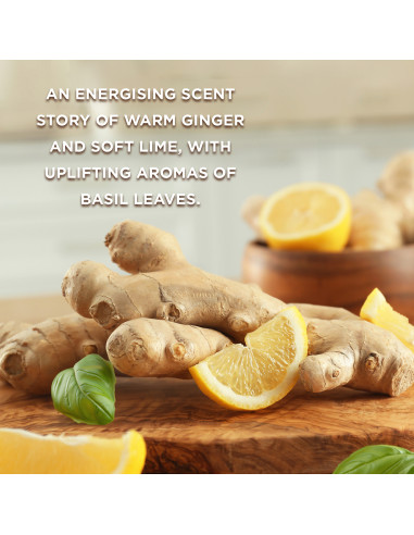 Wellness - sada s péčí o tělo, 5 ks