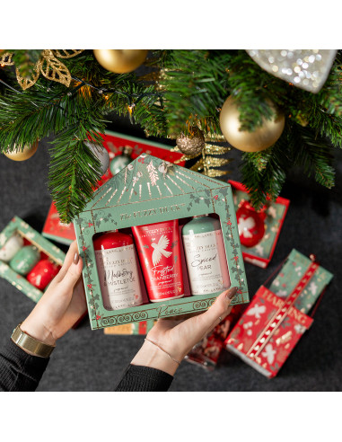 Winter Wonderland - sada s péčí o tělo, 3 ks