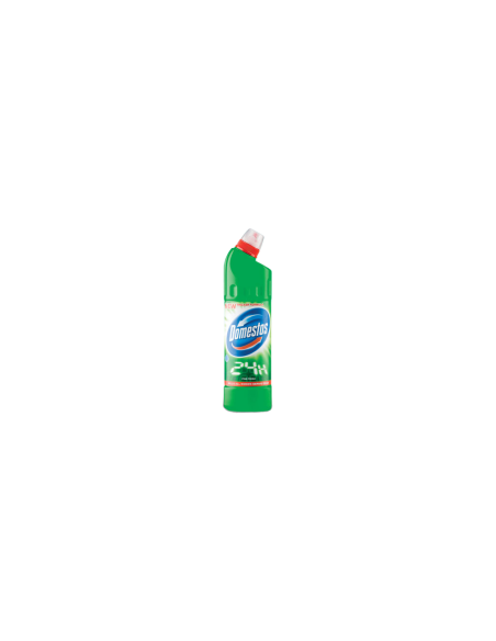 Domestos Power pine fresh 750 ml