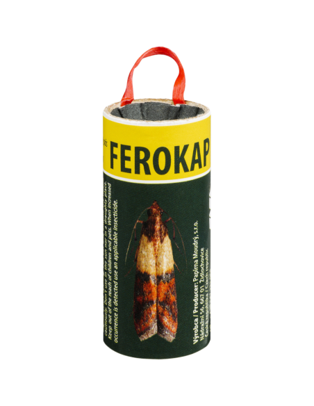 Mololapka Ferokap uni 100 K