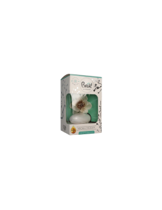 Brait dekorativní osvěžovač vzduchu AROMA Frosty delight 75 ml