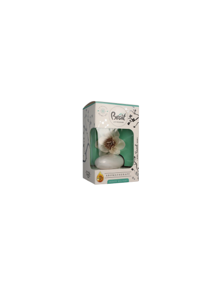 Brait dekorativní osvěžovač vzduchu AROMA Frosty delight 75 ml