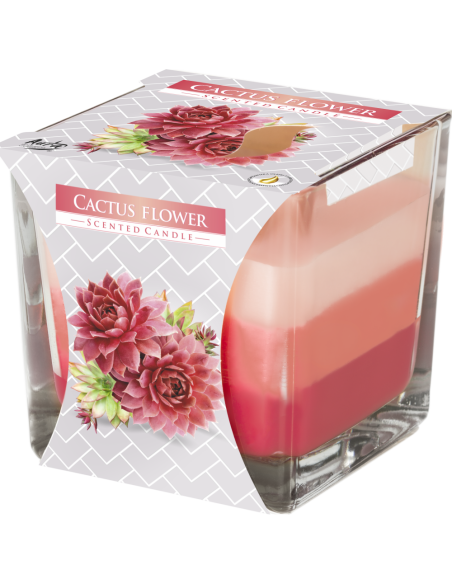 Svíce tříbarevná vonná ve skle Cactus flower (snk 80-312)