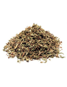 Bylík Plavuň nať 200g