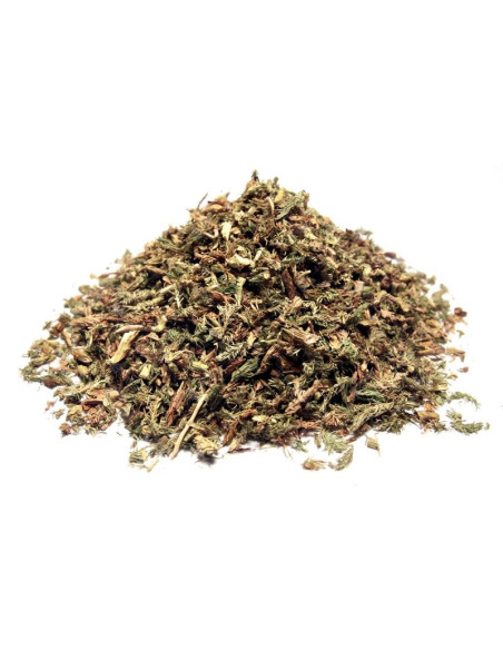 Bylík Plavuň nať 50g