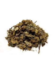 Bylík Podběl květ 30g