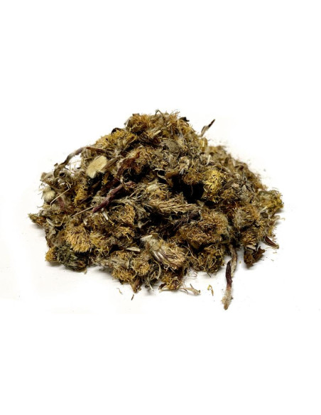 Bylík Podběl květ 50g