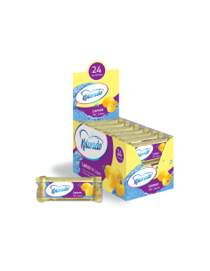 Kolorado WC block refill 40g, LEMON