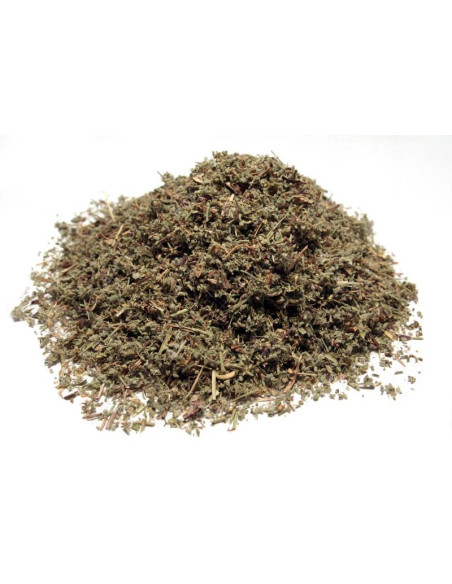 Bylík Průtržník nať 50g