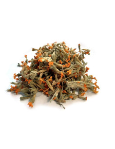 Bylík Prvosenka květ 150g