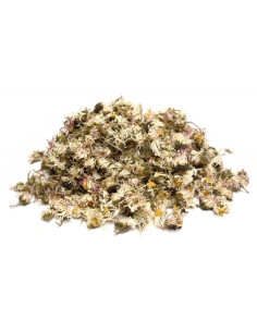 Bylík Sedmikráska květ 250g