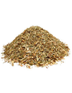 Bylík Echinacea nať 50g