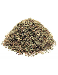 Bylík Truskavec nať 500g