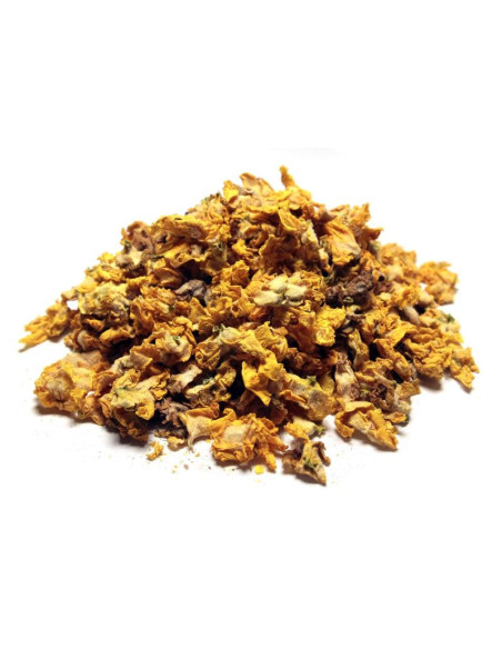 Bylík Divizna květ 150g