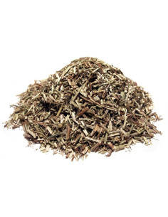 Bylík Yzop nať 50g