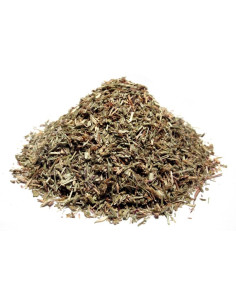 Bylík Zeměžluč nať 30g