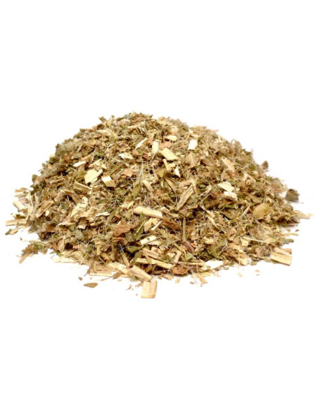 Bylík Benedikt nať 250g