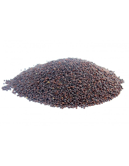 Bylík Hořčice černá celá 400g