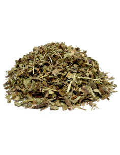 Bylík Plicník list 30g