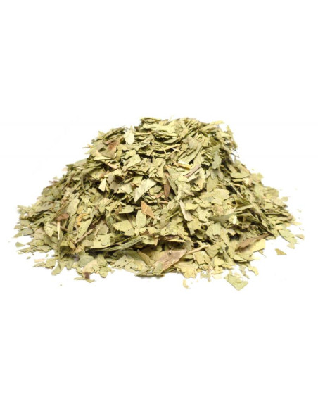 Bylík Senna list 100g