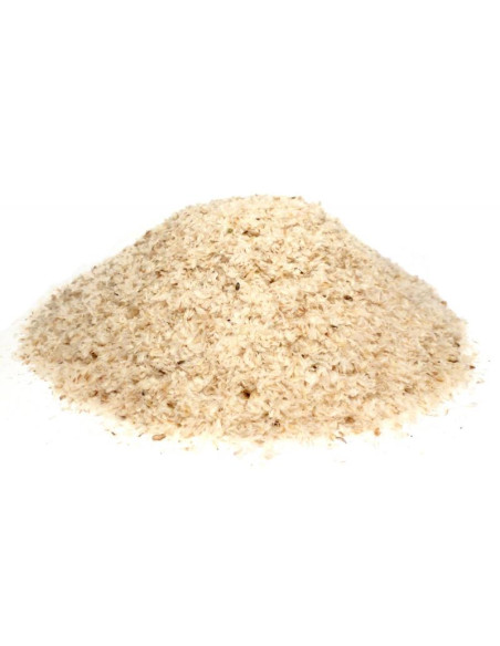 Bylík Psyllium osemení 50g