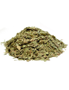Bylík Ginkgo biloba list 400g