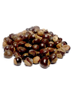 Bylík Guarana plod 150g