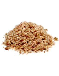 Bylík Borovice výhonky 200g