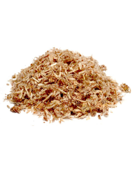 Bylík Borovice výhonky 200g
