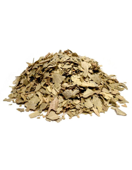 Bylík Boldo list 250g