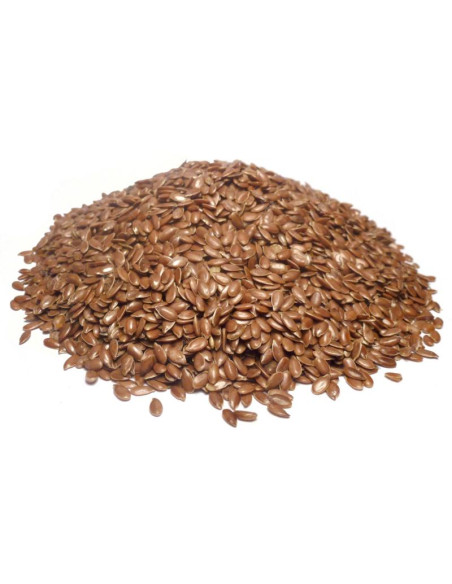 Bylík Len hnědý semeno 100g