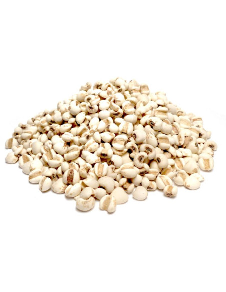 Bylík Slzovka semeno 750g