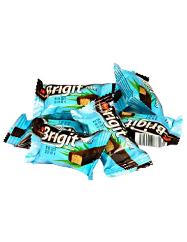 057 - Brigit - sojová tyčinka s kokosem 586g