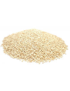Bylík Quinoa bílá semínko 200g