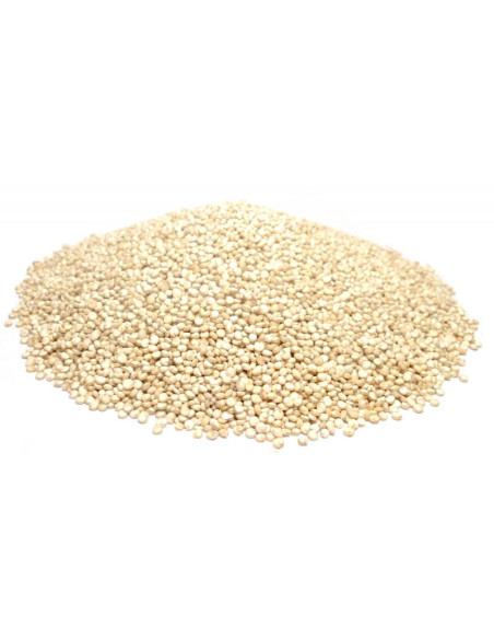Bylík Quinoa bílá semínko 100g