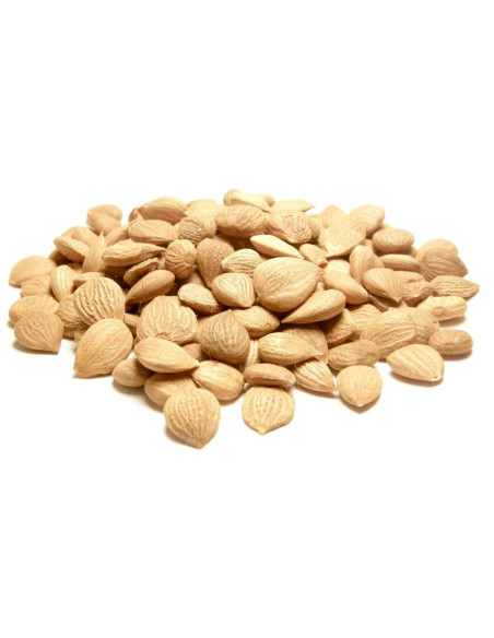 Bylík Meruňky jádra hořká 300g