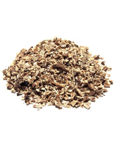 Bylík Echinacea kořen 50g