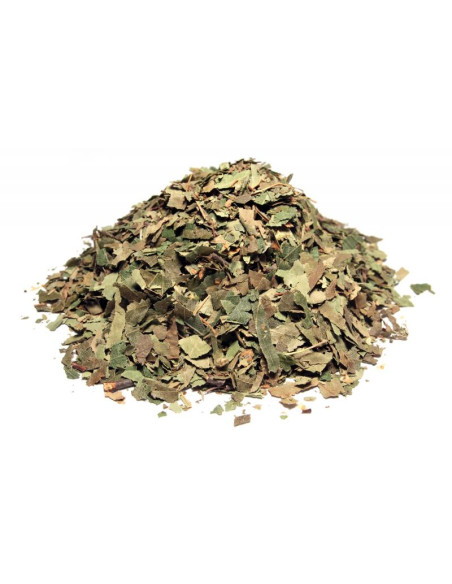 Bylík Bříza list 30g