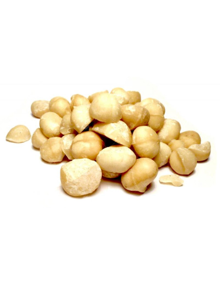 Bylík Makadamové ořechy 250g