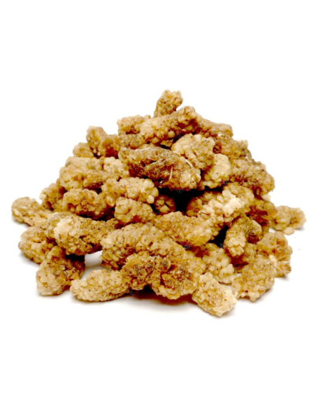 Bylík Moruše plod 50g