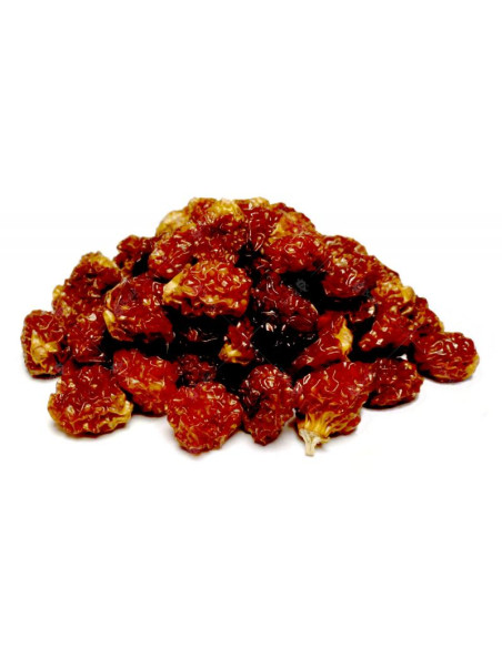 Bylík Goldenberries sušené plody 400g