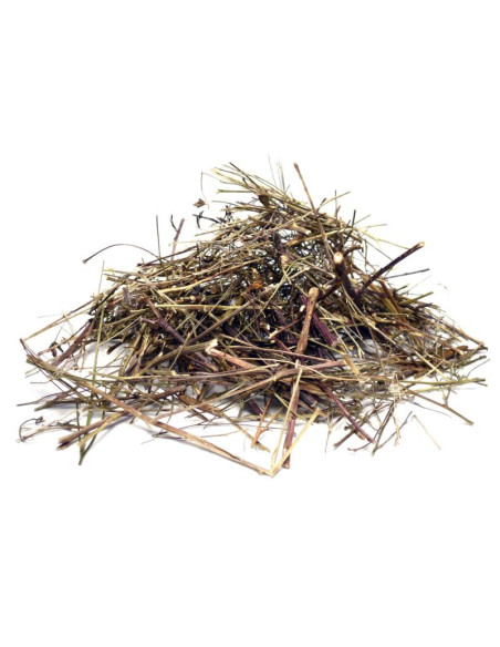 Bylík Canchalagua nať 250g