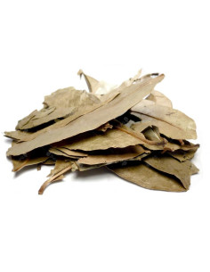 Bylík Graviola list 50g