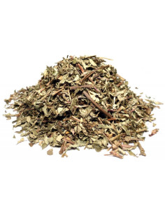 Bylík Chanca Piedra nať 50g