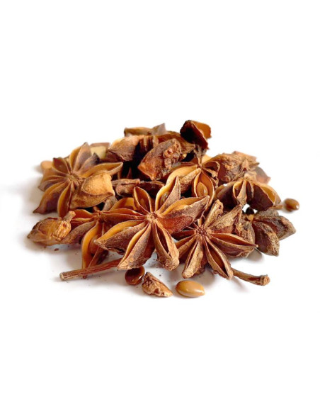 Bylík Badyán plod 150g